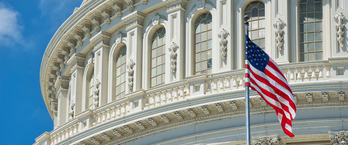 Picture of Capitol Hills in Washington DC
