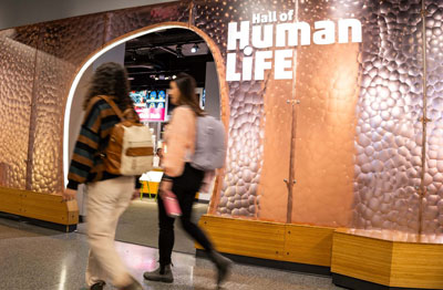 Two visitors walk past the Museum of Science Hall of Human Life entrance.